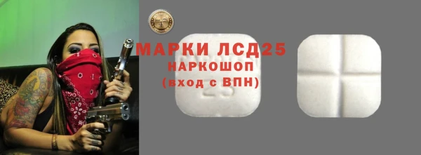 дмт Сатка