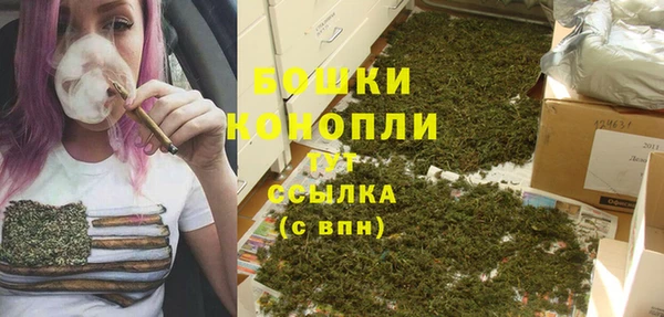 ECSTASY Сафоново